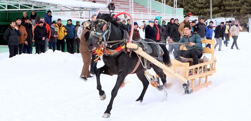 Erzurum'da atlı kızak şampiyonası - Resim: 7