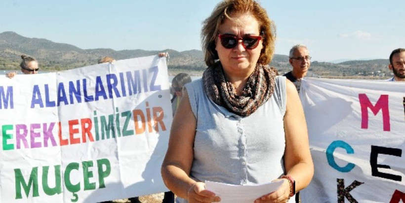 nesetuncer2.jpg