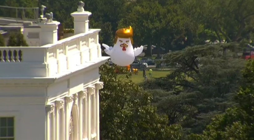 Şişme tavuk Trump - Resim : 1