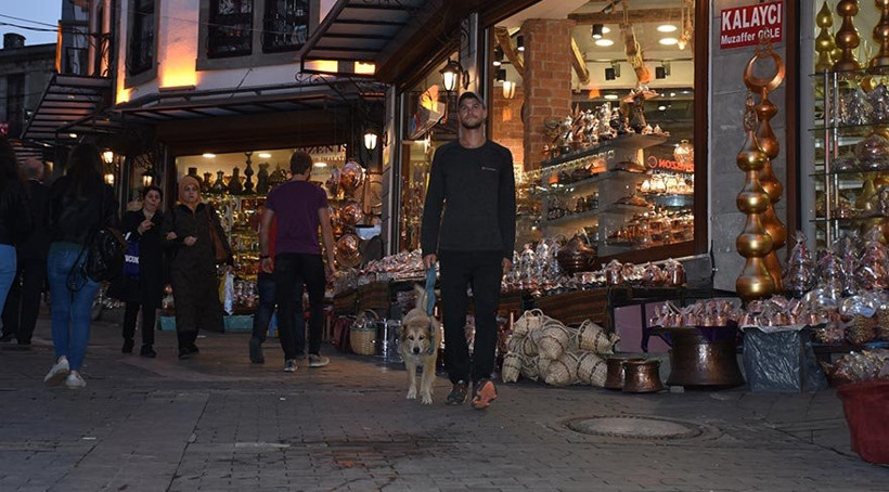 Dünyayı köpeğiyle yürüyerek geziyor - Resim : 1