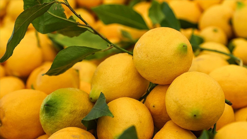 Limon sıkmak için saatler harcamayın! Tek bir hareketle suyu daha çok çıkıyor - Resim: 1