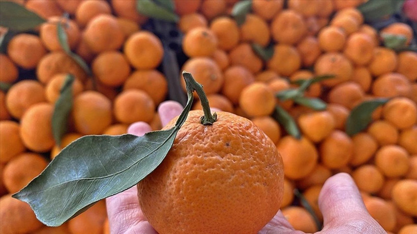 Limon Kabuklarını Atmayın! İşte 5 Farklı Kullanım Alanı - Resim: 1