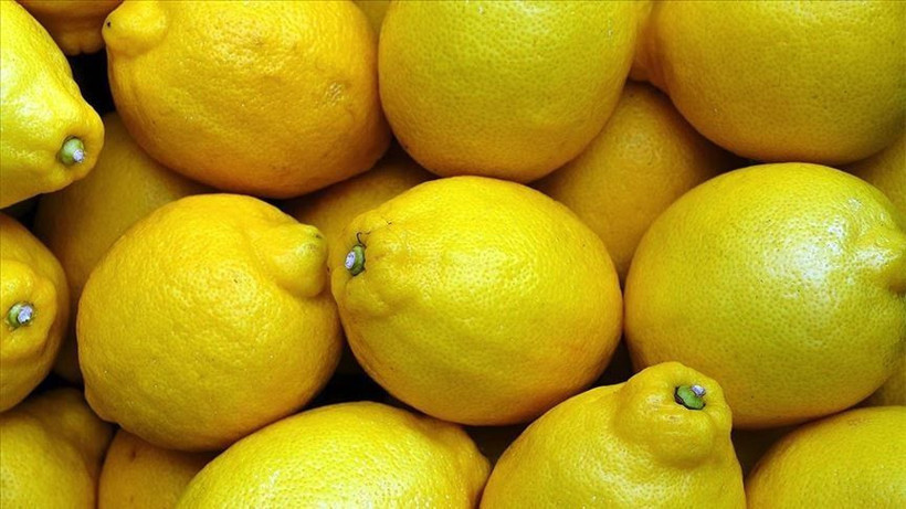 Limon Çekirdekleri Neden Yutulmamalı? Dikkat Çeken Uyarı - Resim: 2