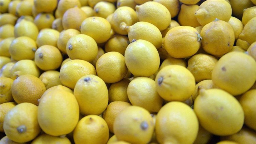 Limon Çekirdekleri Neden Yutulmamalı? Dikkat Çeken Uyarı - Resim: 4