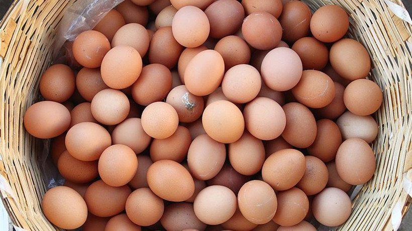Bozuk Yumurtayı Anlamanın 3 Kolay Yolu - Resim: 1