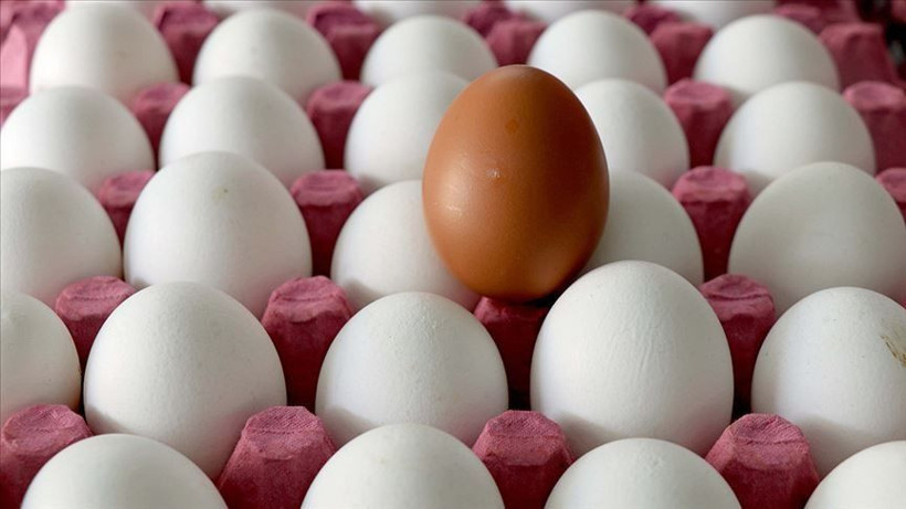 Bozuk Yumurtayı Anlamanın 3 Kolay Yolu - Resim: 3