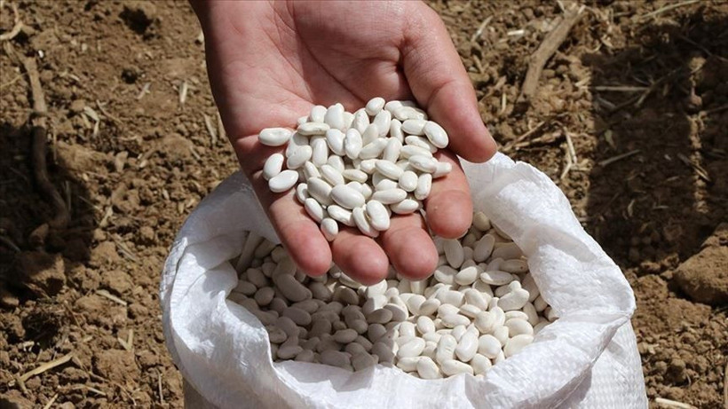 Lezzetli barbunya pişirmek için işe yarar 5 tüyo! Dağılma oluşmuyor - Resim: 3