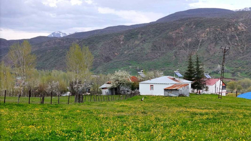 Bingöl'de aynı anda iki mevsimin güzelliği yaşanıyor - Resim: 5
