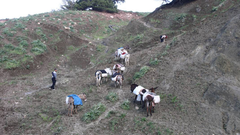 Serin yaylalara göç: Siirtli koçerlerin Herekol eteklerine doğru 'kolektif' yolculuğu - Resim: 8