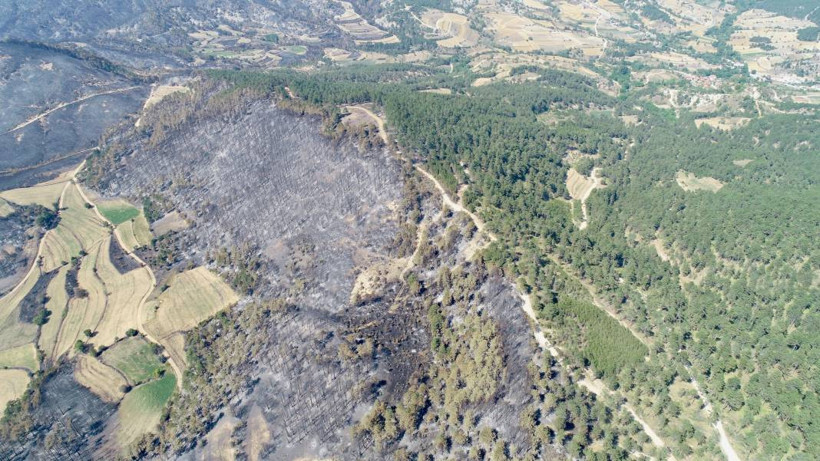 Bolu'da orman yangınında zarar gören alanlar havadan görüntülendi - Resim: 12