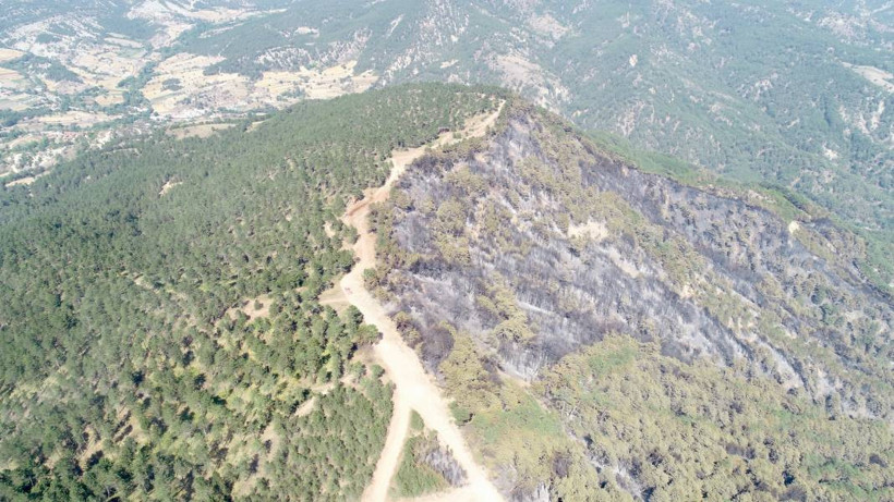 Bolu'da orman yangınında zarar gören alanlar havadan görüntülendi - Resim: 8