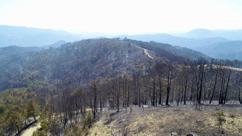 Bolu'da orman yangınında zarar gören alanlar havadan görüntülendi - Resim: 5