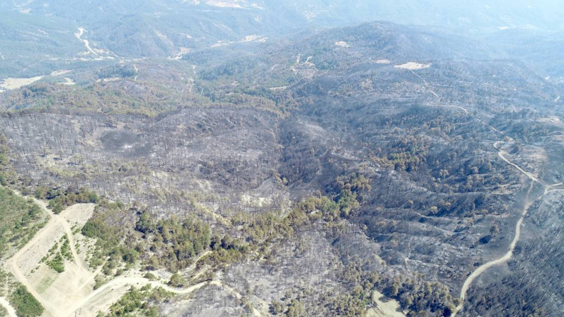 Bolu'da orman yangınında zarar gören alanlar havadan görüntülendi - Resim: 3