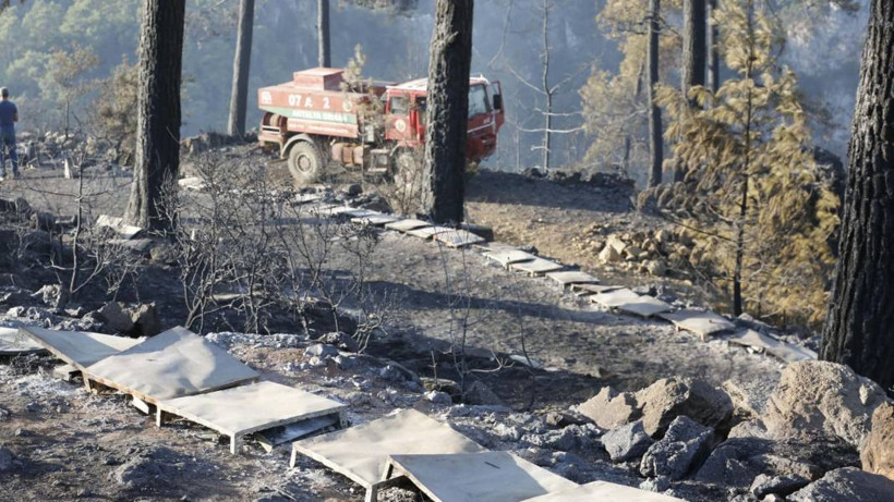 Muğla'daki orman yangınında tahrip olan yerler görüntülendi - Resim: 8