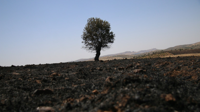 whatsapp-gorsel-2024-06-22-saat-11-12-48-9543a033.jpg