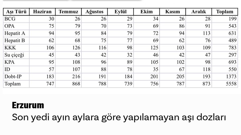 7 ilin aşı haritası - Resim: 6