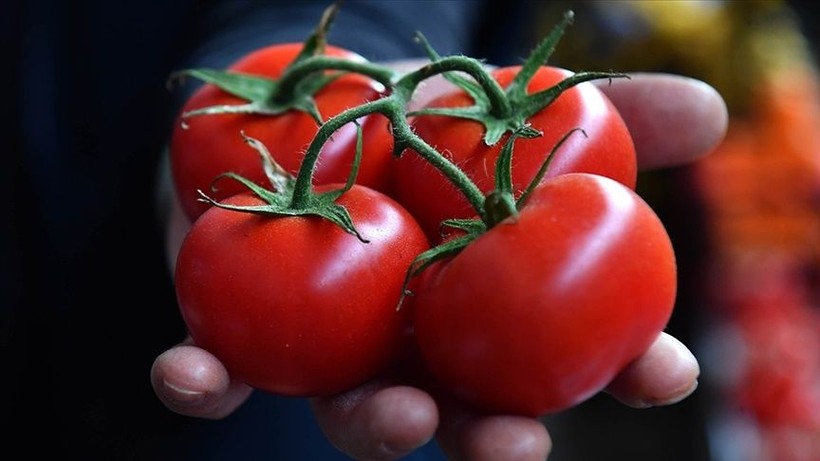 Domatesin çürümesini önleme yolları! 1 ay boyunca bozulmayacak - Resim: 2