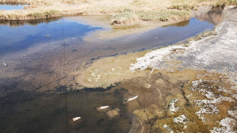 Ege Bölgesi'nin en büyük doğal gölü Bafa kuruyor: Sular 30 metre çekildi - Resim: 3