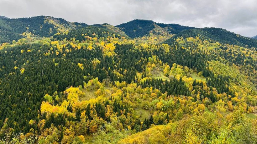 Artvin'de iki mevsim bir arada - Resim: 4