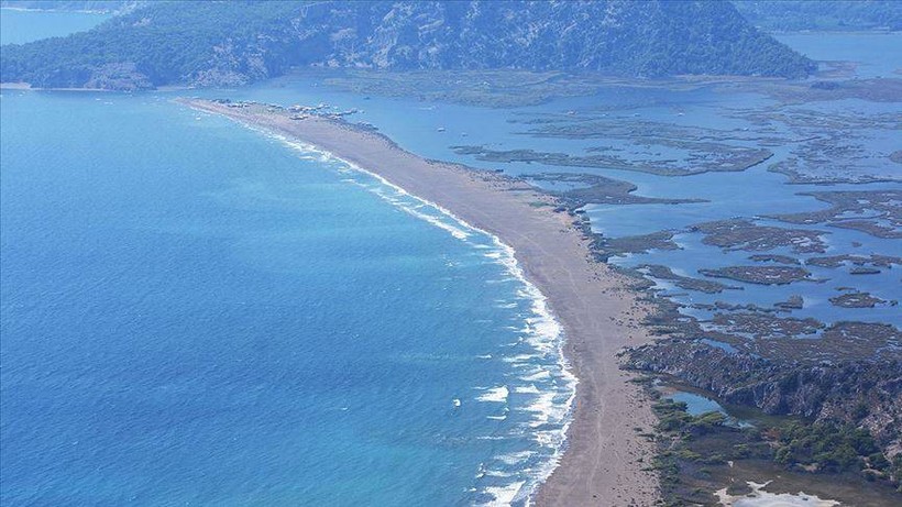 Akdeniz'de rekor sıcaklık: Caretta caretta yavrularının yüzde 90'ı dişi çıktı - Resim: 1