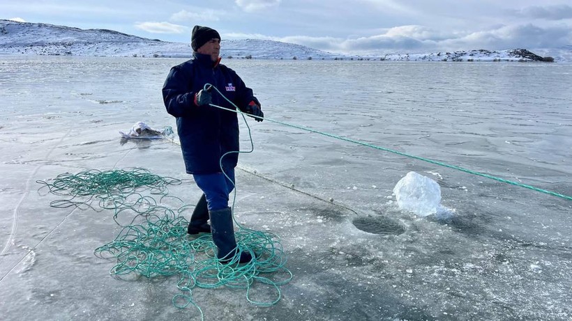 Eskimo usulü balık avı için Çıldır Gölü'ne ilk ağlar atıldı - Resim: 2