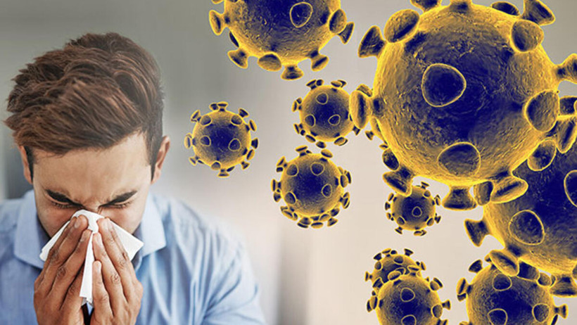 virus.jpg