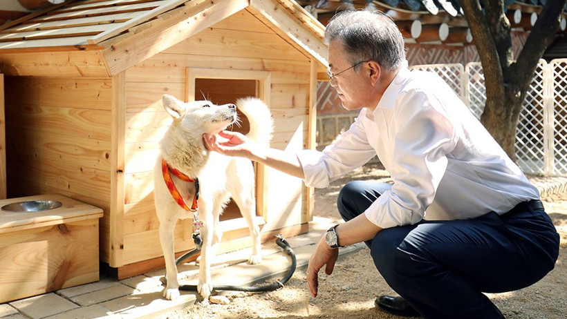 221108085436-moon-jae-in-with-dog-gomi.jpg