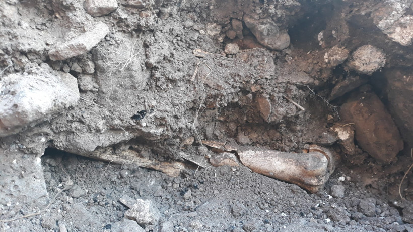 Saraykapı Cezaevi’nde insan iskeletleri bulundu: Diyarbakır Barosu yasal süreç başlattı - Resim : 1