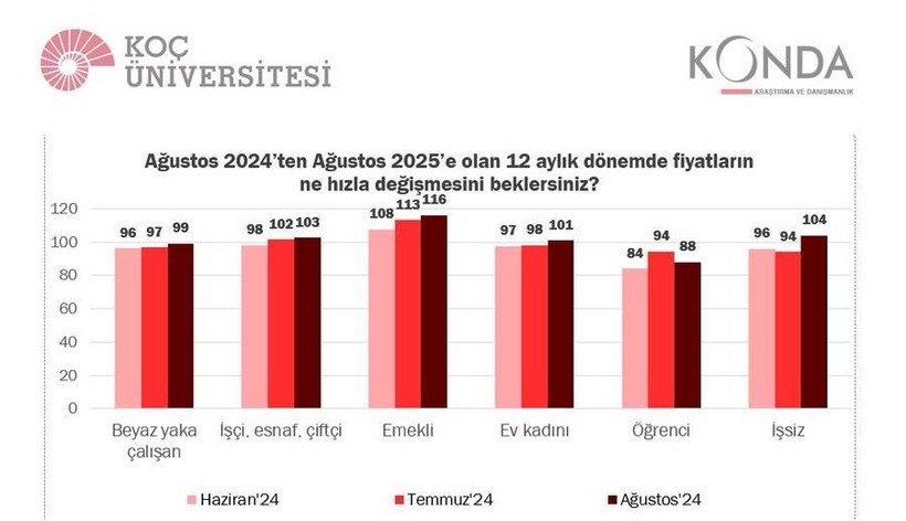 Koç Üniversitesi ve KONDA'dan enflasyon anketi: Beklenti yüzde 113 - Resim: 3