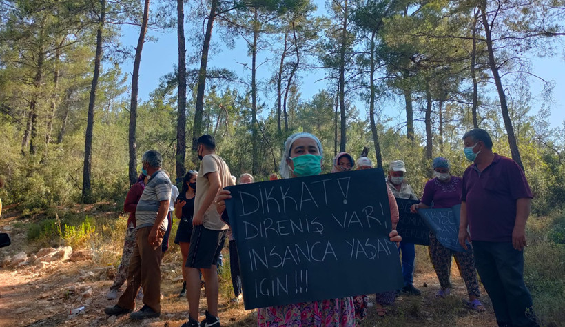 Akbelen Ormanı'nda termik santral için ağaç kesimi başladı - Resim : 2