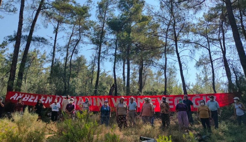 Akbelen Ormanı'nda termik santral için ağaç kesimi başladı - Resim : 3