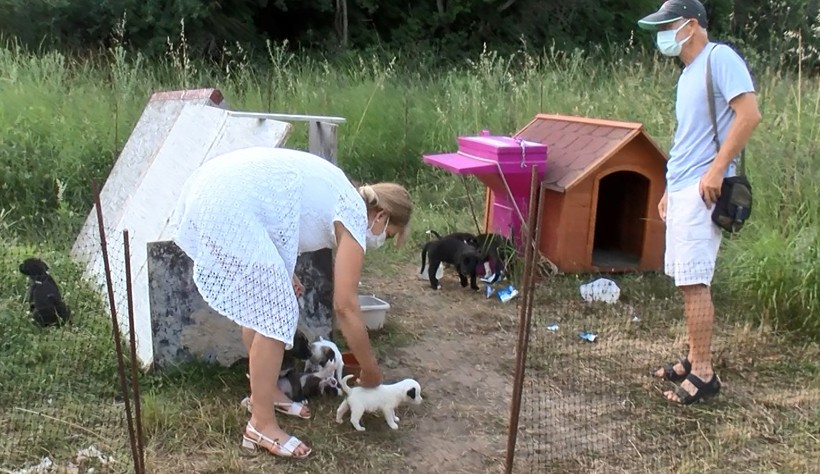 Sarıyer'de yavru köpeği yakarak öldürdüler - Resim : 1