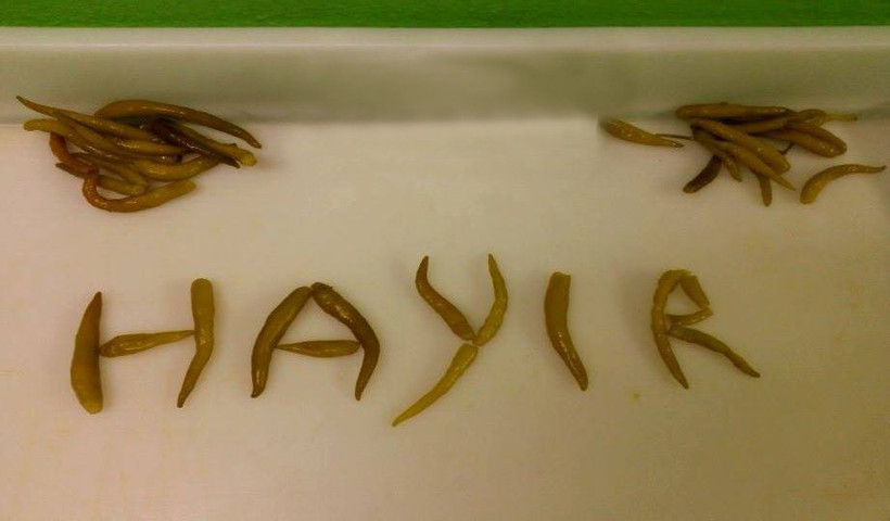 Yaratıcı Hayır'lar - Resim: 12
