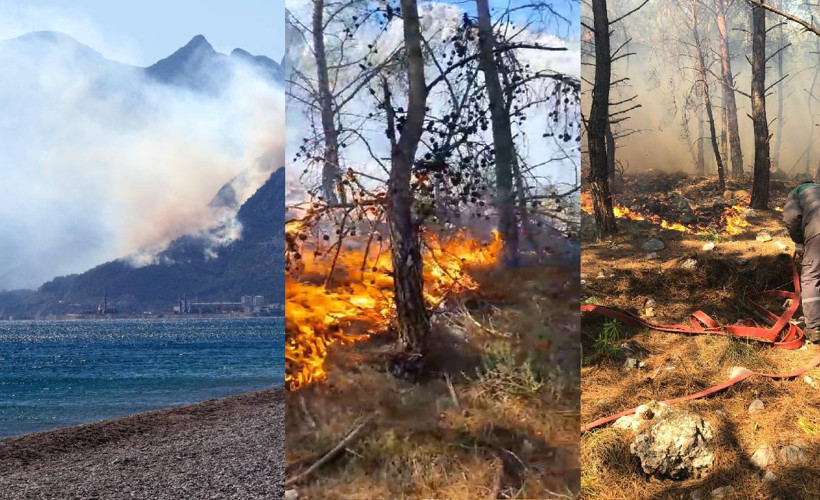 Antalya'daki orman yangını kontrol altına alındı