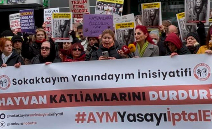 ‘Nejla Teyze’ için adalet talebi: ‘Hayvanlara yönelik nefret toplumsal sorun haline geldi’
