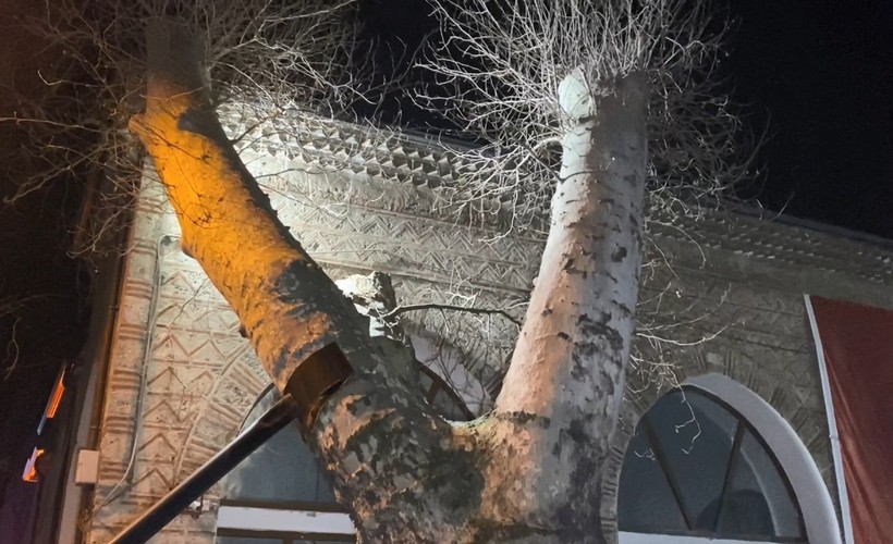Bursa'daki tarihi caminin bahçesindeki 550 yıllık çınar ağacı devrildi