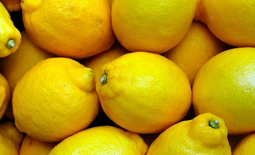 Dubai'ye ihraç edilecek limonlarda pestisit çıktı