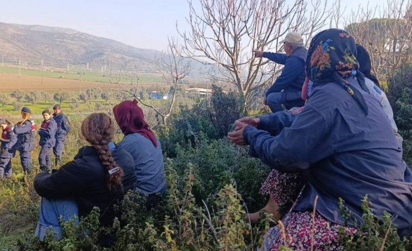 Çayırlı'da asker korumasında ağaç kesimi