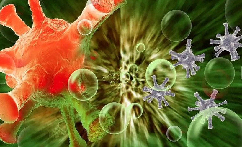 Çinli bilim insanları Antarktika'da 6 yeni bakteri cinsi keşfetti