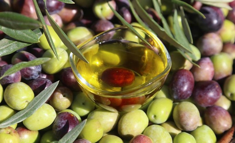 Günde 10 adet zeytin yerseniz o sorunlar son buluyor! Meğer doğanın mucizesiymiş
