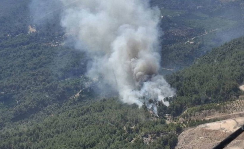 Sakarya ve Manisa'daki orman yangınlarında 17 gözaltı