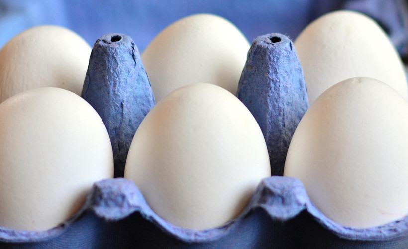 Yumurta Kabuklarını Sakın Atmayın! Ne İşe Yaradığını Öğrenince Çok Şaşıracaksınız0