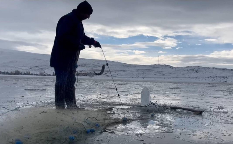 Çıldır Gölü'nde eskimo usulü atılan ağlar çekildi - Resim: 6