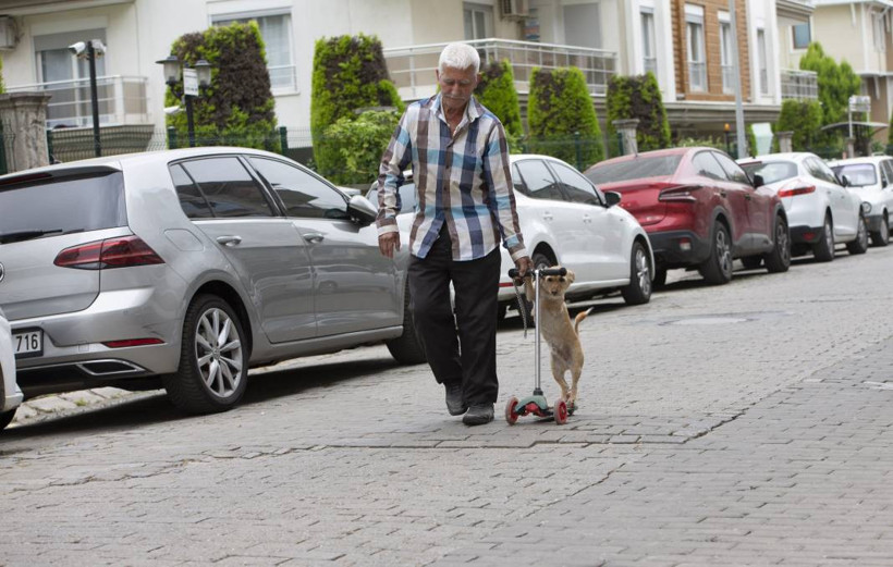 Köpeğini skuterle gezdirip salıncağa bindiriyor: 'Yedi torun var bir de bu sekiz oldu' - Resim: 16
