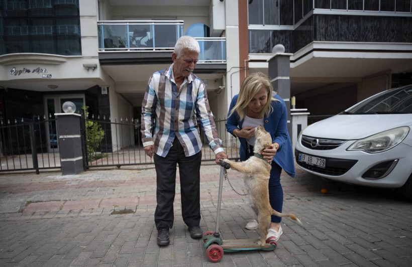Köpeğini skuterle gezdirip salıncağa bindiriyor: 'Yedi torun var bir de bu sekiz oldu' - Resim: 11