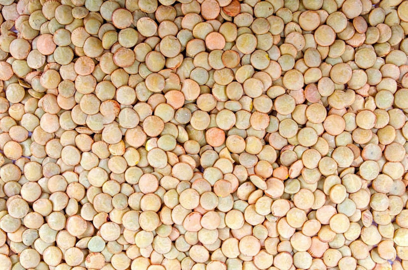 agriculture-316595-1280.jpg