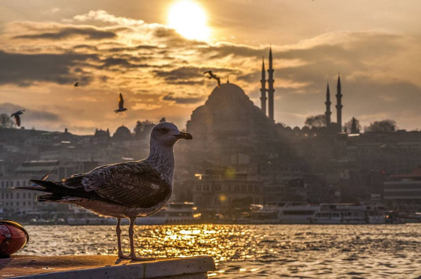İstanbul'daki yedi yeni vapur hattı ve saatleri belli oldu - Resim: 2