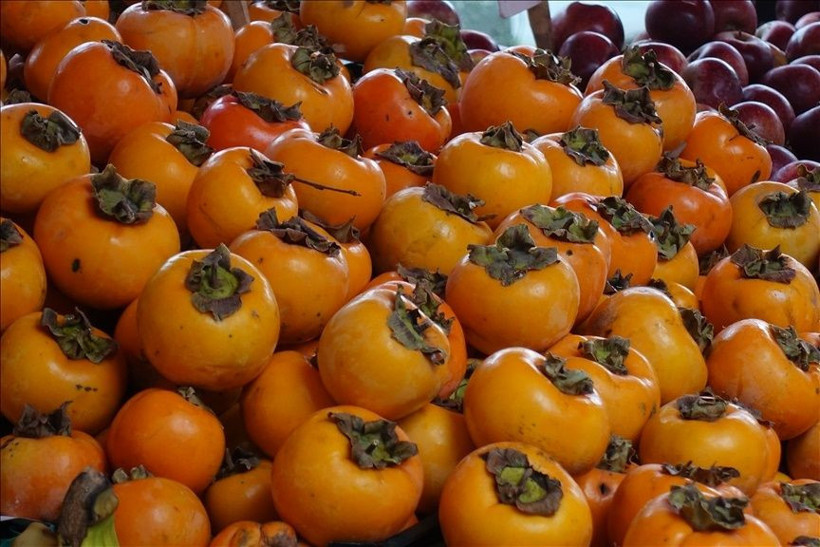 Hasadı sona erdi. Konya dahil birçok ilde yetişiyor! Faydaları inanılmaz - Resim: 3