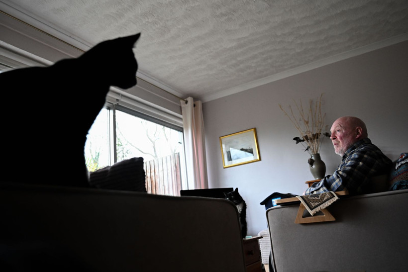 Sahipsiz kedi ve yaralı vahşi kuşlar iki arkadaşa emanet - Resim: 10