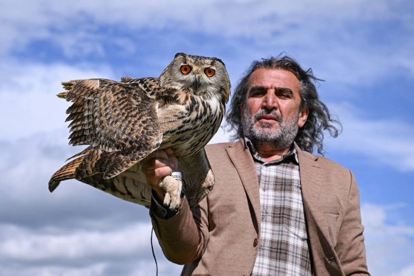 Van, tedavi ihtiyacı olan yaban kuşları için 'sağlık üssü' oldu - Resim: 5